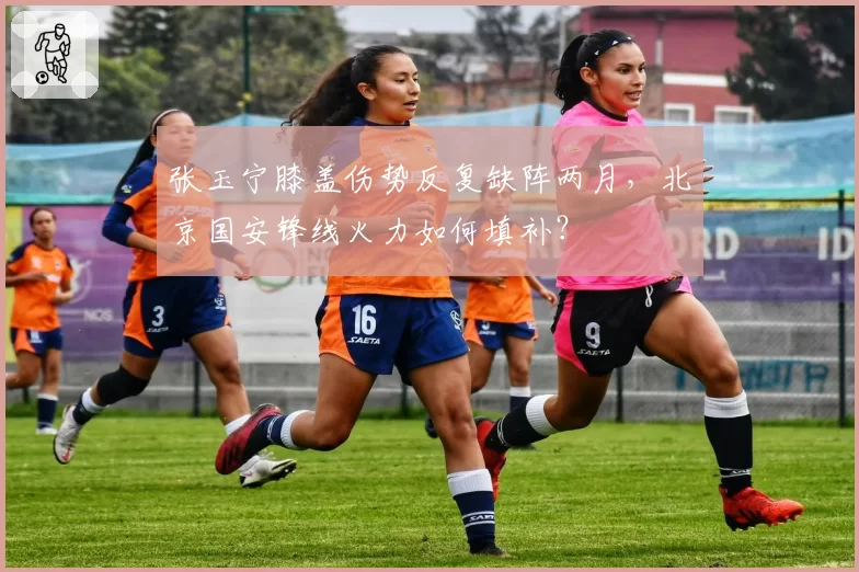 张玉宁膝盖伤势反复缺阵两月，北京国安锋线火力如何填补？